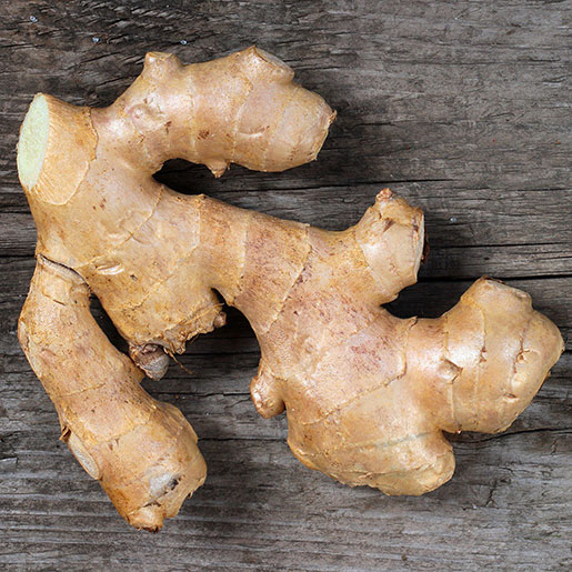 Ginger Exporter in Tamil Nadu